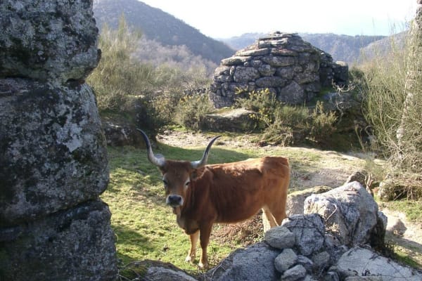 Foto 30 da atividade Galeria de Fotos