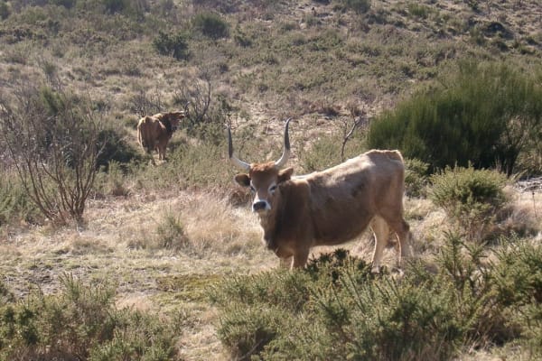 Foto 27 da atividade Galeria de Fotos