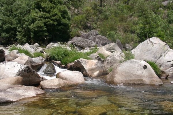 Foto 23 da atividade Galeria de Fotos