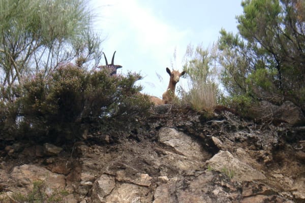 Foto 18 da atividade Galeria de Fotos