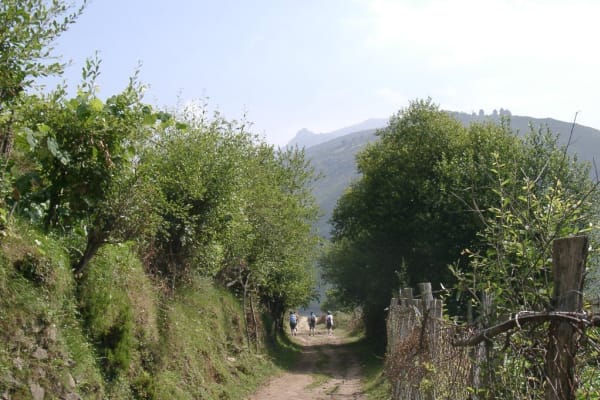 Foto 6 da atividade Galeria de Fotos