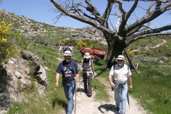 Foto 60 da atividade Galeria de Fotos