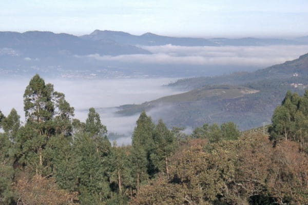 Foto 87 da atividade Galeria de Fotos