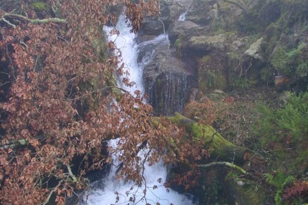 Foto 85 da atividade Galeria de Fotos