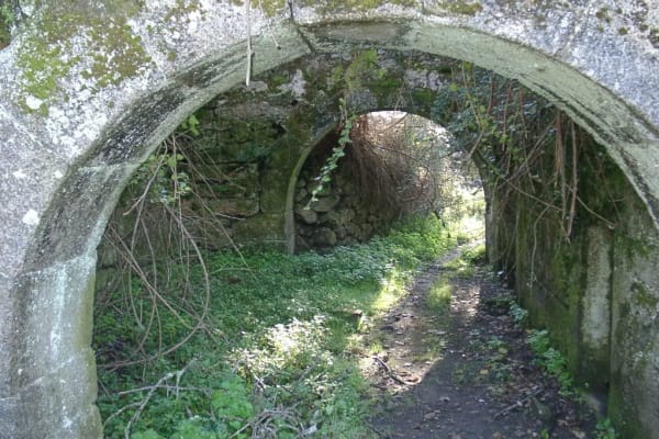 Foto 62 da atividade Galeria de Fotos