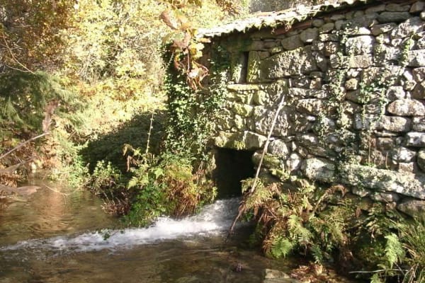 Foto 39 da atividade Galeria de Fotos