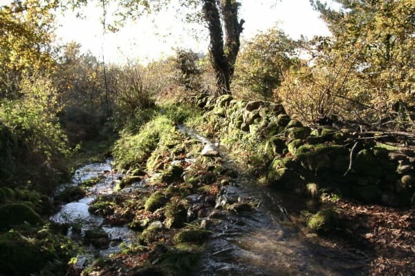 Foto 38 da atividade Galeria de Fotos