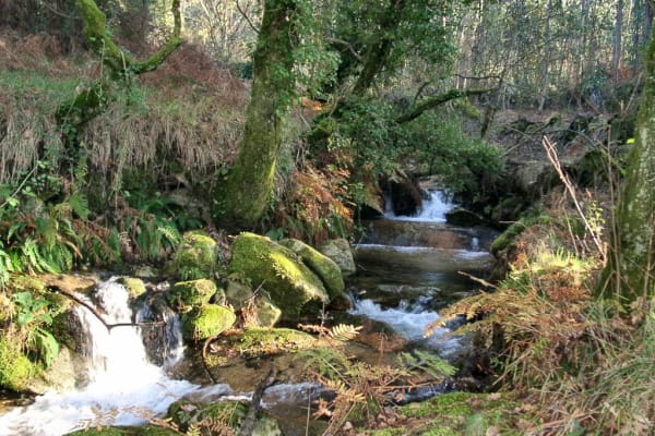 Foto 29 da atividade Galeria de Fotos