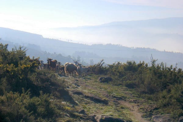 Foto 25 da atividade Galeria de Fotos