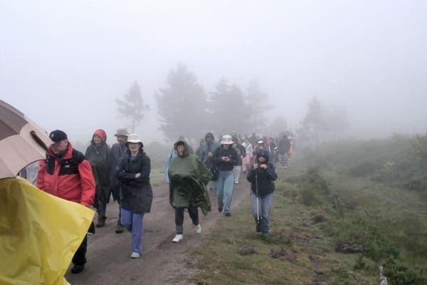 Foto 71 da atividade Galeria de Fotos