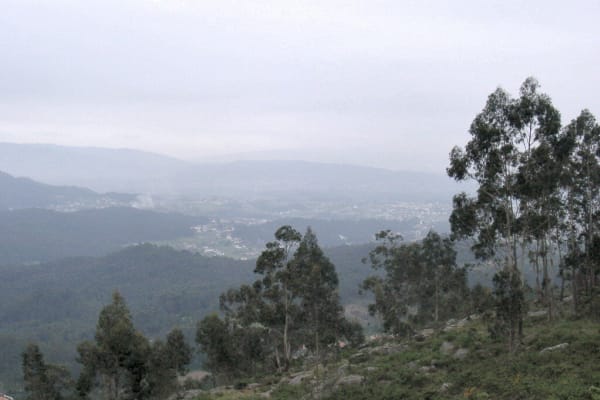 Foto 65 da atividade Galeria de Fotos