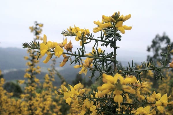 Foto 64 da atividade Galeria de Fotos