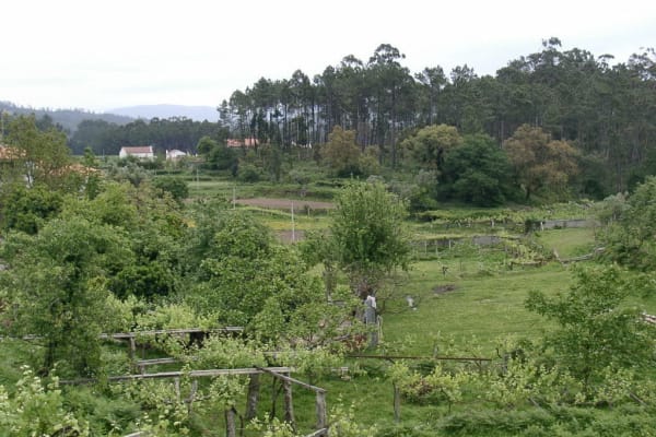 Foto 54 da atividade Galeria de Fotos