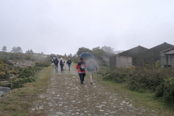 Foto 27 da atividade Galeria de Fotos