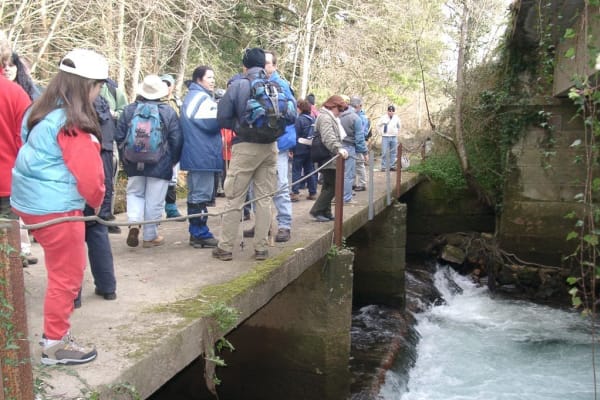 Foto 175 da atividade Galeria de Fotos