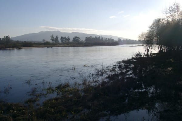 Foto 148 da atividade Galeria de Fotos