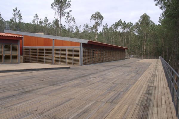 Foto 137 da atividade Galeria de Fotos