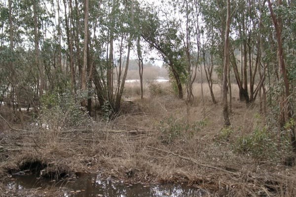 Foto 131 da atividade Galeria de Fotos