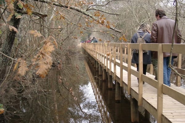 Foto 130 da atividade Galeria de Fotos