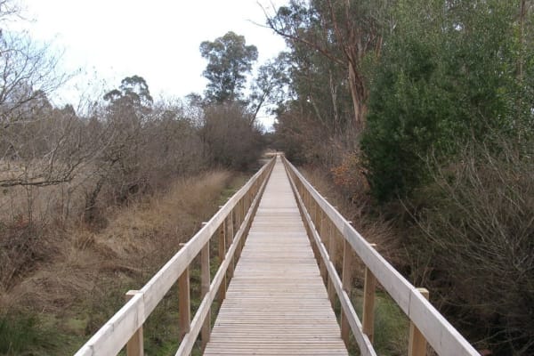 Foto 127 da atividade Galeria de Fotos