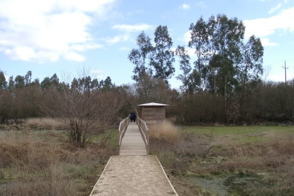 Foto 126 da atividade Galeria de Fotos