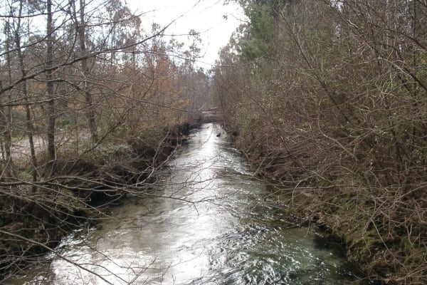 Foto 124 da atividade Galeria de Fotos