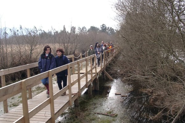 Foto 121 da atividade Galeria de Fotos