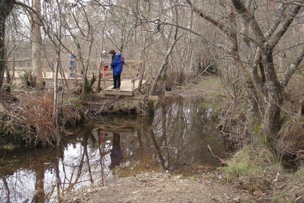 Foto 117 da atividade Galeria de Fotos