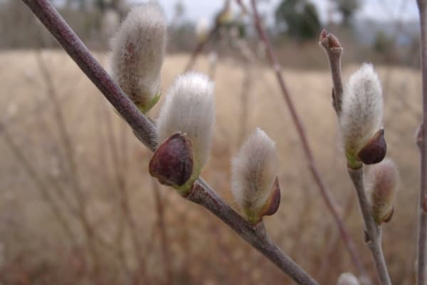 Foto 115 da atividade Galeria de Fotos