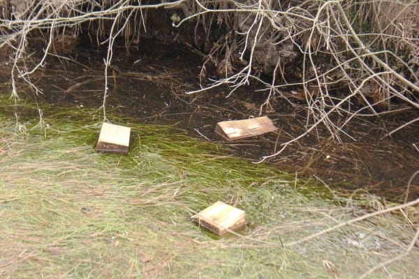 Foto 107 da atividade Galeria de Fotos