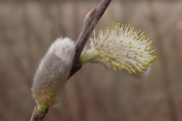 Foto 104 da atividade Galeria de Fotos