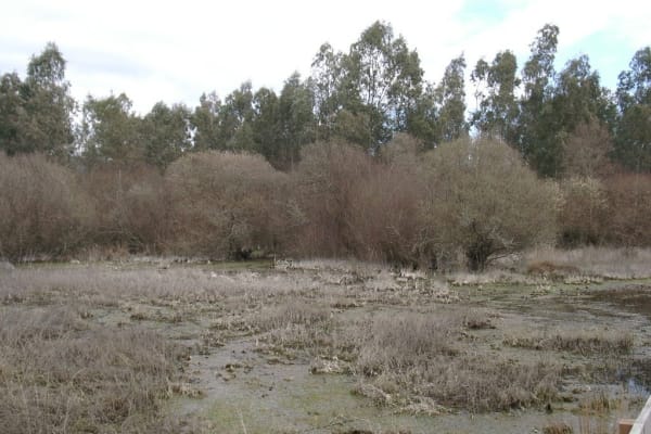 Foto 89 da atividade Galeria de Fotos