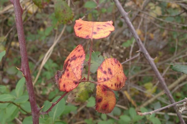 Foto 86 da atividade Galeria de Fotos