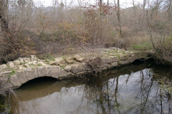 Foto 75 da atividade Galeria de Fotos