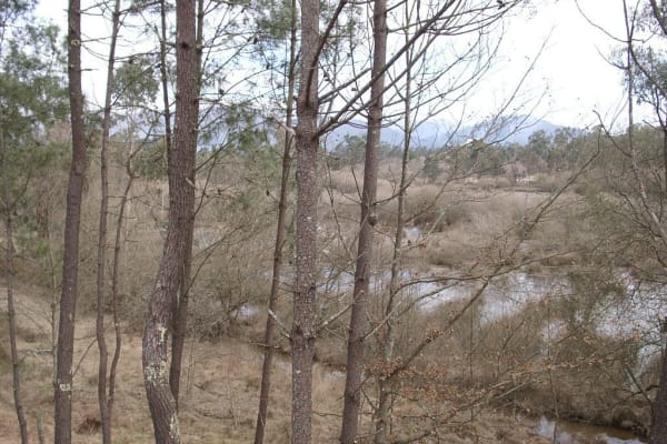 Foto 72 da atividade Galeria de Fotos