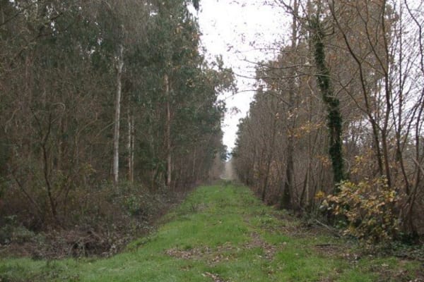 Foto 69 da atividade Galeria de Fotos