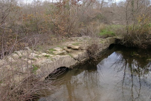 Foto 63 da atividade Galeria de Fotos