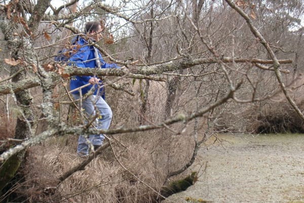 Foto 56 da atividade Galeria de Fotos