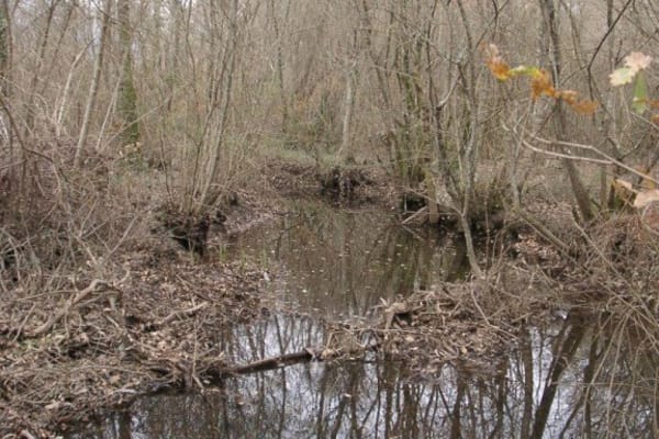 Foto 48 da atividade Galeria de Fotos