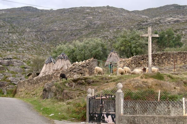 Foto 68 da atividade Galeria de Fotos