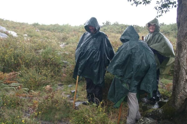 Foto 41 da atividade Galeria de Fotos