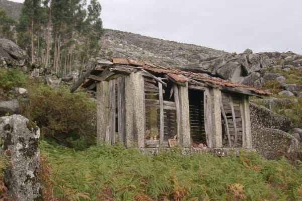 Foto 11 da atividade Galeria de Fotos