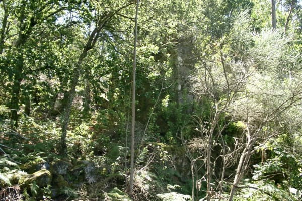 Foto 29 da atividade Galeria de Fotos