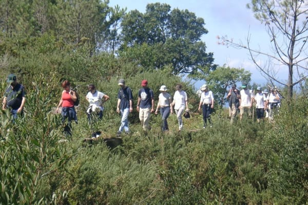 Foto 28 da atividade Galeria de Fotos