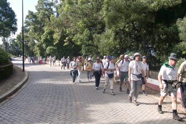 Foto 23 da atividade Galeria de Fotos