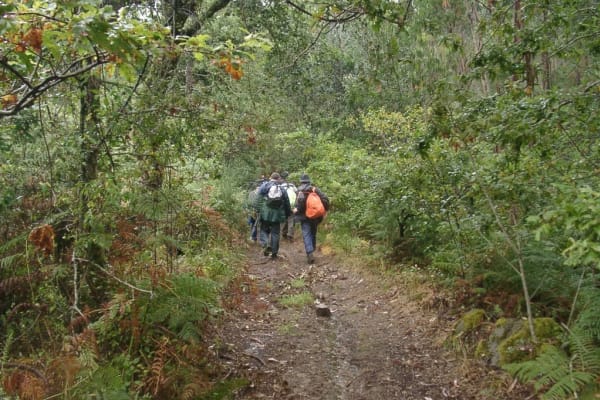 Foto 123 da atividade Galeria de Fotos