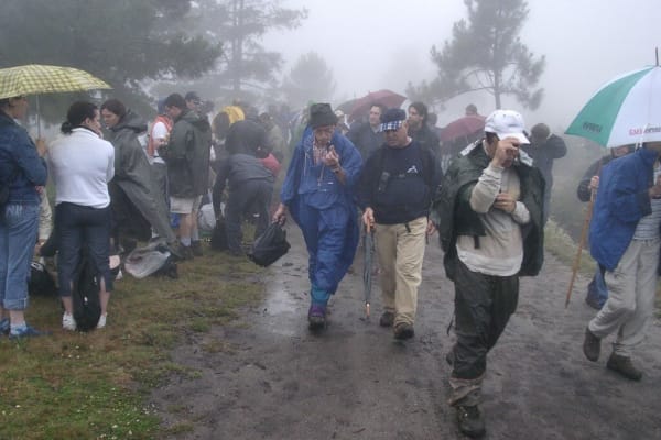 Foto 100 da atividade Galeria de Fotos