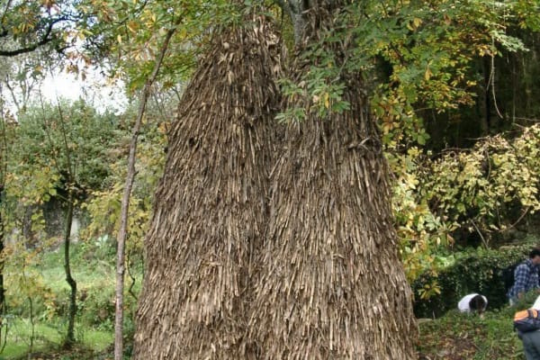 Foto 108 da atividade Galeria de Fotos