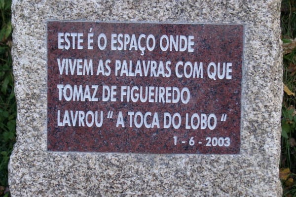 Foto 99 da atividade Galeria de Fotos