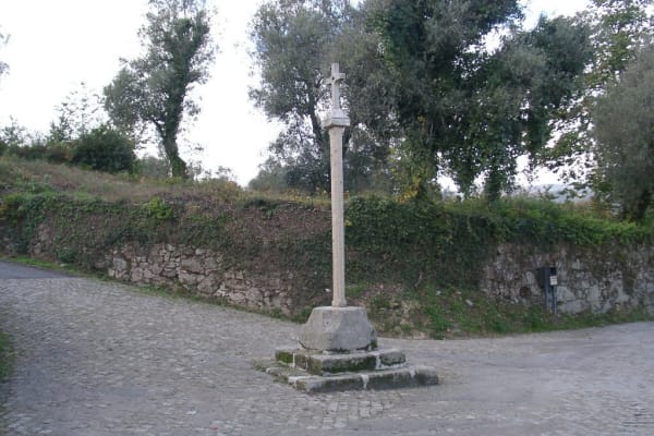 Foto 88 da atividade Galeria de Fotos